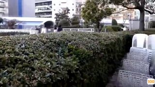 老年和年轻女性在热辣的三人行中探索他们的性欲